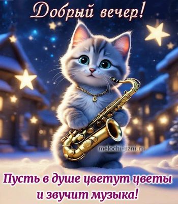 Открытка «Кот»: Добрый вечер! Кот с саксофоном и музыкальное пожелание. Тэги: животное, пожелание, улыбка, красивая…