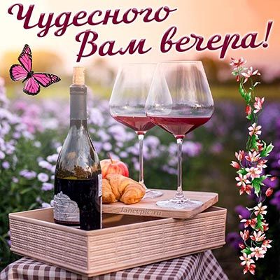 Открытка «Животное»: Чудесного Вам вечера! Открытка с вином и уютом. Тэги: пожелание, красивая, позитив, радость…