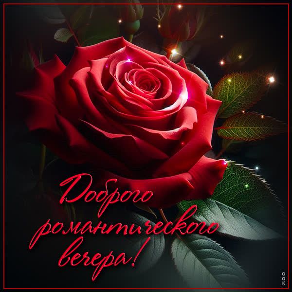 Открытка «Пожелание»: Красная роза и добрый романтический вечер. Тэги: красивая, позитив, цветок, настроение, нежная…