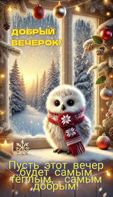 Открытка «Животное»: Открытка «Добрый вечерок» с милым совенком и зимой. Тэги: пожелание, шарф, радость, уют, окно…