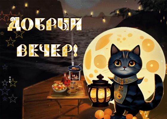 Открытка «Кот»: Милый кот желает добрый вечер у луны!. Тэги: пожелание, красивая, стол, фонарь, настроение, природа…