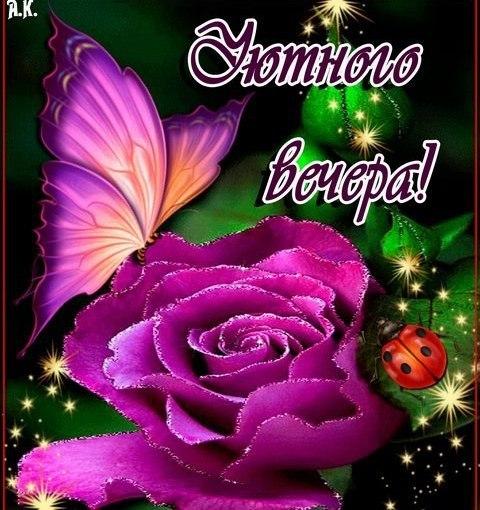 Открытка «Животное»: Уютного вечера! Мерцающая роза и бабочка. Тэги: пожелание, красивая, позитив, радость, цветок…