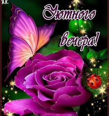 Открытка «Животное»: Уютного вечера! Мерцающая роза и бабочка. Тэги: пожелание, красивая, позитив, радость, цветок…