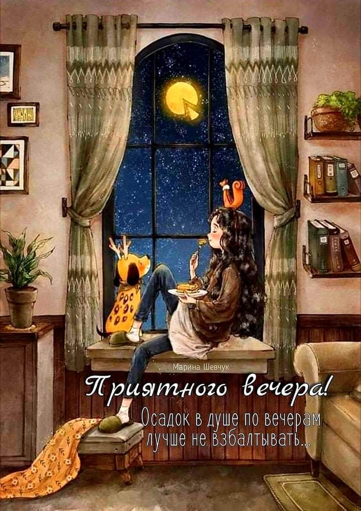 Открытка «Животное»: Приятный вечер: уют и звездное настроение. Тэги: пожелание, женщина, девушка, красивая, окно…