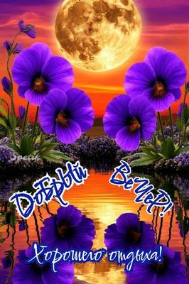 Открытка «Пожелание»: Добрый вечер! Пожелание хорошего отдыха. Тэги: красивая, позитив, цветок, настроение, нежная…