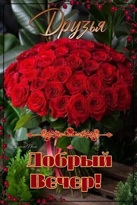 Открытка «Добрый вечер и пожелания»: Друзья, Добрый Вечер! Красивый букет роз. Тэги: Добрый позитивный вечер, Доброго…