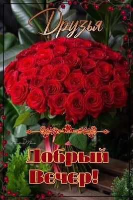 Открытка «Добрый вечер и пожелания»: Друзья, Добрый Вечер! Красивый букет роз. Тэги: Добрый позитивный вечер, Доброго…