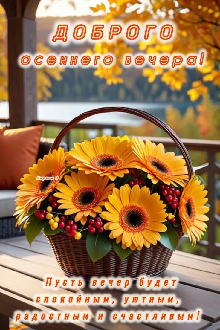 Открытка «Пожелание»: Доброго осеннего вечера! Уютное пожелание с герберами. Тэги: улыбка, красивая, позитив, радость…