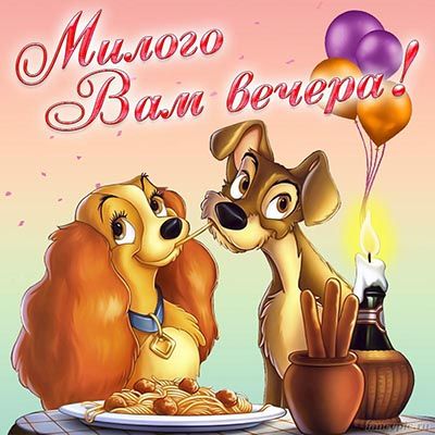 Открытка «Животное»: Милого вечера! Нежная открытка с собаками. Тэги: пожелание, улыбка, красивая, позитив, радость…