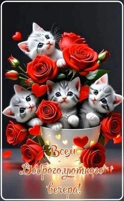 Открытка «Кот»: Доброе пожелание уютного вечера с котятами. Тэги: пожелание, позитив, радость, сердце, чашка, настрое…