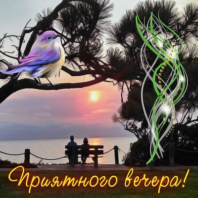 Открытка «Животное»: Приятного вечера: красивая открытка с закатом и птицей. Тэги: пожелание, мужчина, женщина…