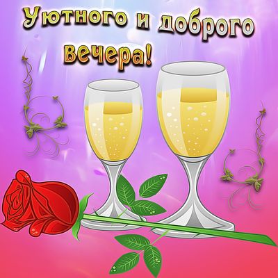 Открытка «Пожелание»: Красивая открытка: Уютного и доброго вечера. Тэги: улыбка, красивая, позитив, радость, цветок…