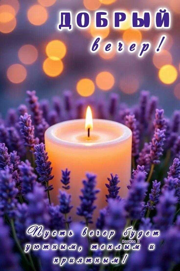 Открытка «Пожелание»: «Добрый вечер!» Уютная свеча и лаванда. Тэги: красивая, позитив, радость, настроение, нежная…