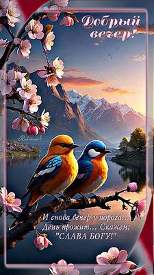 Открытка «Животное»: Красивый «Добрый вечер!» с птицами и пожеланием. Тэги: пожелание, красивая, позитив, радость…