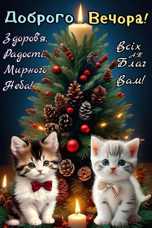 Открытка «Кот»: «Добрый вечер!» Пожелание благ с милыми котятами. Тэги: животное, пожелание, красивая, позитив…