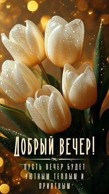 Открытка «Пожелание»: Добрый вечер: уютные тюльпаны и блестящее пожелание. Тэги: красивая, позитив, радость, цветок…