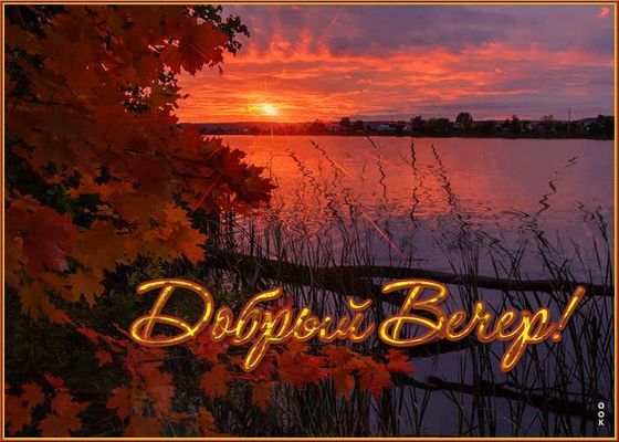 Открытка «Пожелание»: «Добрый вечер»: осенний закат. Тэги: красивая, позитив, радость, осень, настроение, природа…