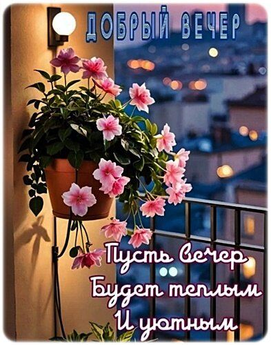 Открытка «Пожелание»: Красивая открытка «Добрый вечер» с уютным пожеланием. Тэги: позитив, радость, цветок, уют, тепло…