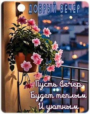 Открытка «Пожелание»: Красивая открытка «Добрый вечер» с уютным пожеланием. Тэги: позитив, радость, цветок, уют, тепло…