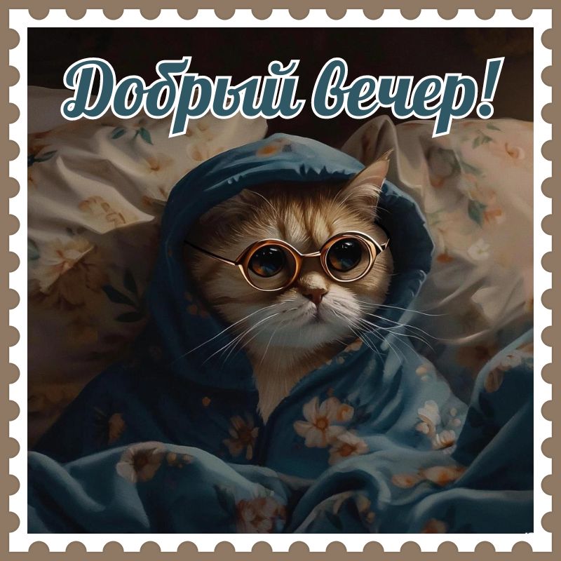 Открытка «Кот»: Добрый вечер! Милый кот в очках для уютного настроения. Тэги: животное, пожелание, прикольная, улыбка…