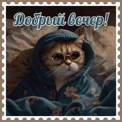 Открытка «Кот»: Добрый вечер! Милый кот в очках для уютного настроения. Тэги: животное, пожелание, прикольная, улыбка…