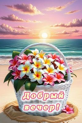 Открытка «Пожелание»: Добрый вечер: цветы на закате у моря. Тэги: красивая, позитив, настроение, природа, солнце…