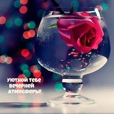 Открытка «Пожелание»: Уютный вечер: роза в бокале и мерцание огней. Тэги: красивая, позитив, цветок, настроение…