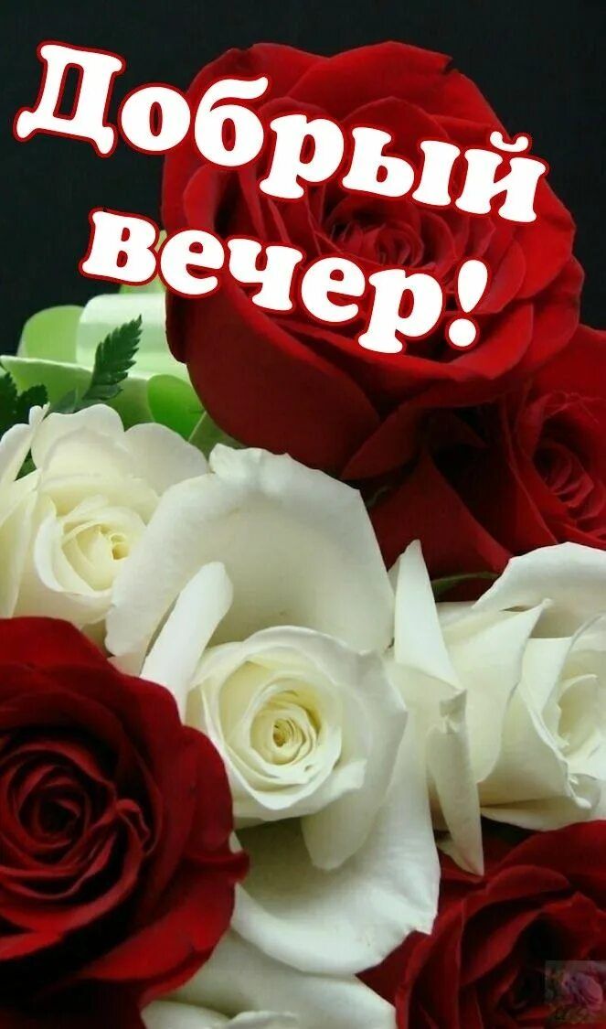 Открытка «Пожелание»: Красивые розы – Добрый вечер!. Тэги: мужчина, женщина, красивая, позитив, цветок, настроение…
