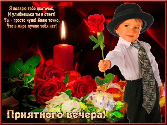 Открытка «Добрый вечер и пожелания»: Приятного вечера! Мальчик с розой для любимой. Тэги: Добрый вечер женщине…