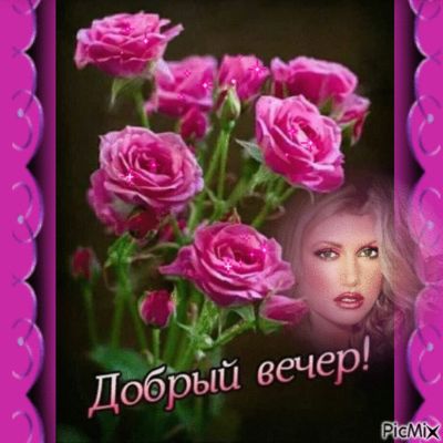 Открытка «Пожелание»: «Добрый вечер!» Нежные розы и женская красота. Тэги: женщина, девушка, красивая, цветок, настро…
