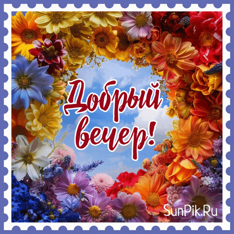 Открытка «Пожелание»: Добрый вечер! Яркие цветы для настроения. Тэги: красивая, позитив, радость, цветок, настроение…