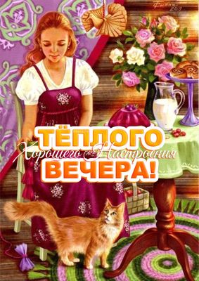 Открытка «Кот»: Уютного вечера и хорошего настроения с кошкой. Тэги: животное, пожелание, девушка, красивая, позитив…