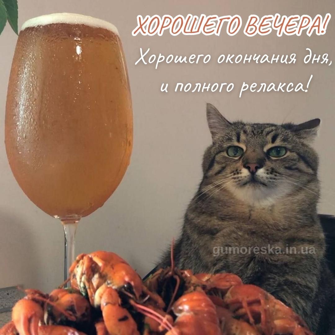 Открытка «Проза»: Хорошего вечера: кот, пиво и раки для релакса. Тэги: Добрый вечер и пожелания, Прикольный добрый ве…