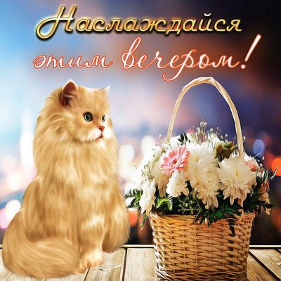 Открытка «Кот»: Наслаждайся вечером! Открытка с котом и цветами. Тэги: животное, пожелание, красивая, позитив, цветок…