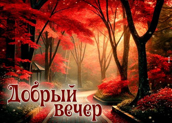 Открытка «Пожелание»: Красивый «Добрый вечер» – осенний пейзаж и настроение. Тэги: красивая, позитив, осень, настроен…