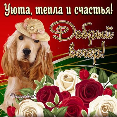 Открытка «Добрый вечер и пожелания»: Добрый вечер! Уютное пожелание с милой собакой. Тэги: Добрый вечер красивые…
