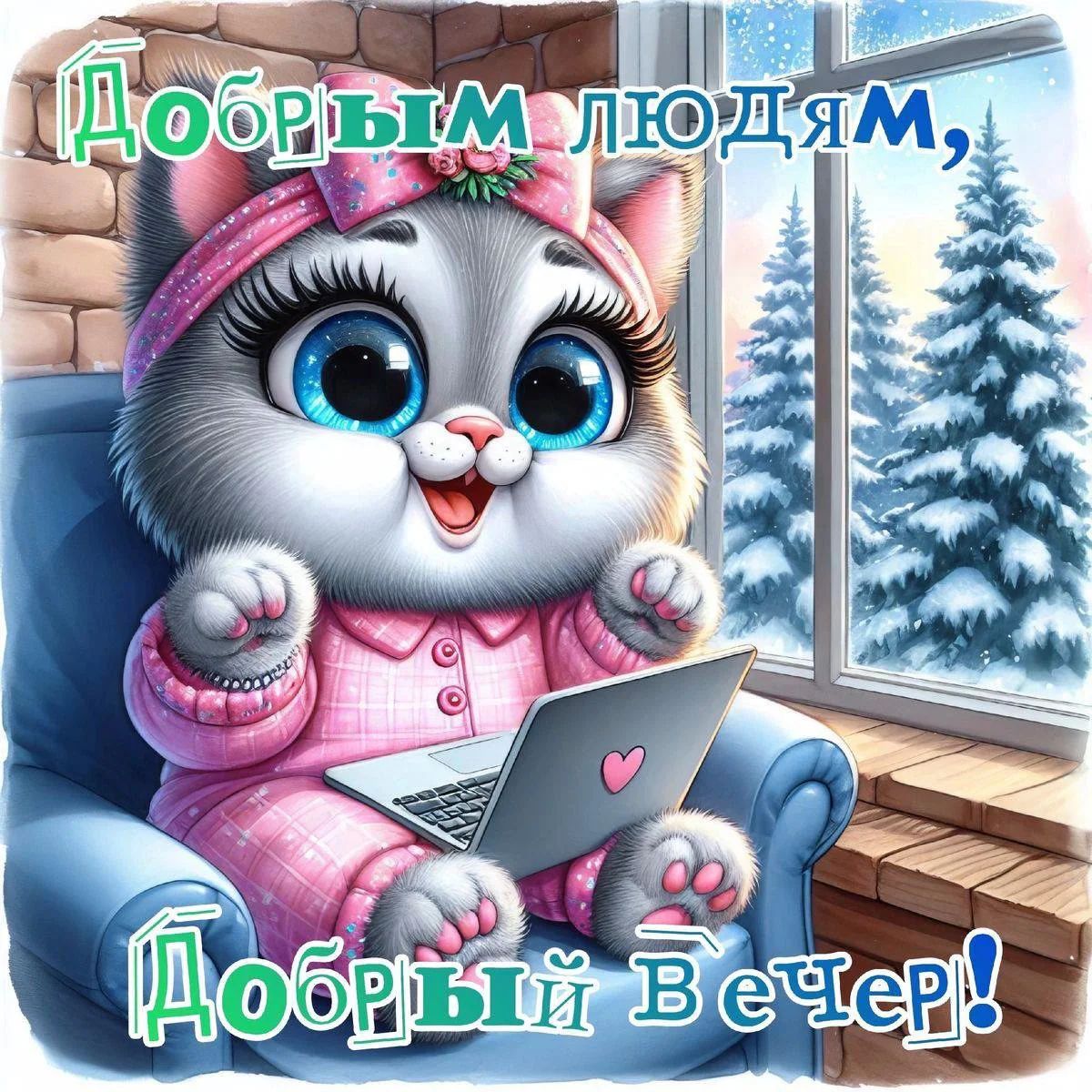 Открытка «Кот»: Добрый Вечер! Милая кошечка и зимний уют. Тэги: животное, пожелание, красивая, позитив, окно, настрое…