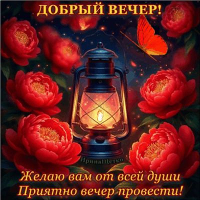 Открытка «Пожелание»: Добрый вечер: красивые пионы, бабочка и уютный фонарь. Тэги: красивая, позитив, радость, цветок…
