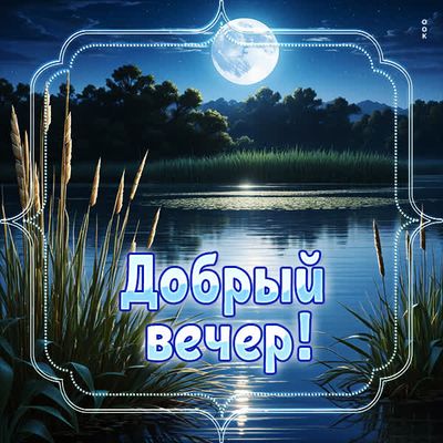 Открытка «Пожелание»: Добрый вечер! Красивая природа и лунная ночь. Тэги: позитив, настроение, дерево, природа, рамка…