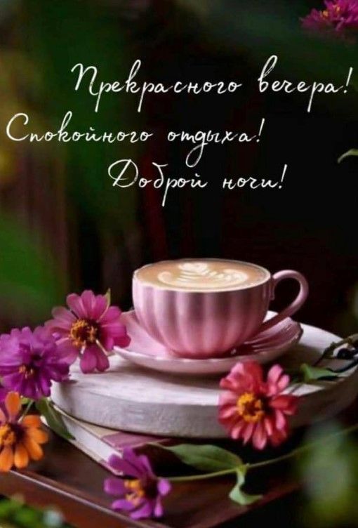 Открытка «Пожелание»: Уютный вечер с кофе: пожелание доброй ночи. Тэги: красивая, кофе, цветок, чашка, настроение…