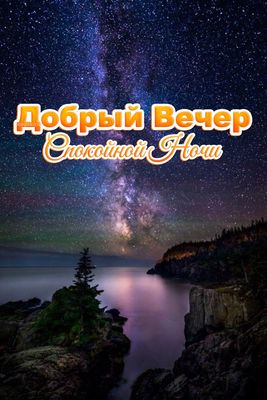 Открытка «Пожелание»: Добрый Вечер, Спокойной Ночи: звездное небо. Тэги: красивая, настроение, дерево, природа, небо…
