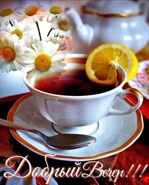 Открытка «Пожелание»: Уютный «Добрый вечер»: чай, ромашки и лимон для настроения. Тэги: красивая, позитив, цветок, чай…