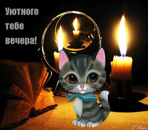 Открытка «Кот»: Уютного вечера с милым котом и свечами. Тэги: животное, пожелание, шарф, красивая, позитив, радость…