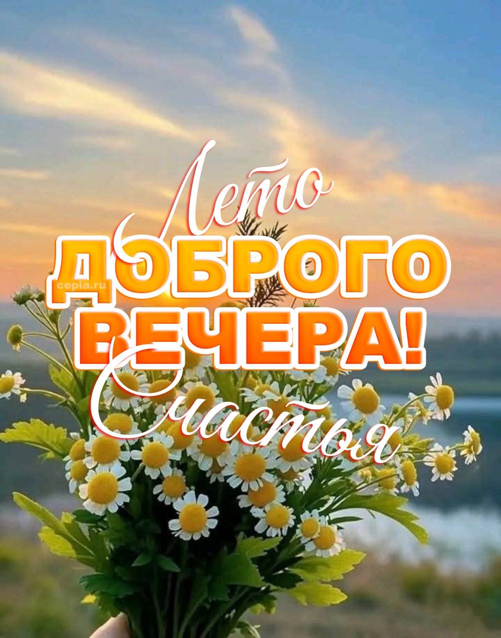 Открытка «Пожелание»: Лето Доброго Вечера! Счастья и нежности с ромашками. Тэги: улыбка, красивая, позитив, радость…