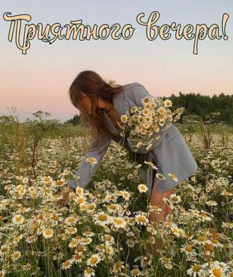 Открытка «Пожелание»: Приятного вечера! Нежная открытка с ромашками. Тэги: женщина, девушка, красивая, позитив…