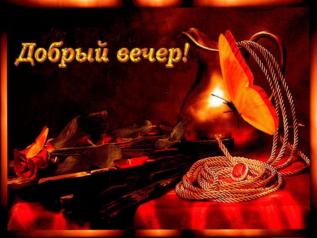 Открытка «Животное»: «Добрый вечер!» Красивая открытка с бабочкой и розой. Тэги: пожелание, красивая, цветок, настрое…