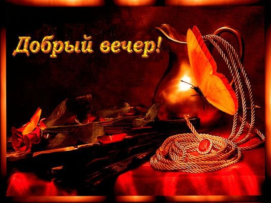 Открытка «Животное»: «Добрый вечер!» Красивая открытка с бабочкой и розой. Тэги: пожелание, красивая, цветок, настрое…