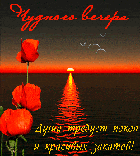 Открытка «Пожелание»: Чудного вечера и красивых закатов – открытка с пожеланием. Тэги: красивая, позитив, радость…