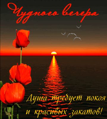 Открытка «Пожелание»: Чудного вечера и красивых закатов – открытка с пожеланием. Тэги: красивая, позитив, радость…