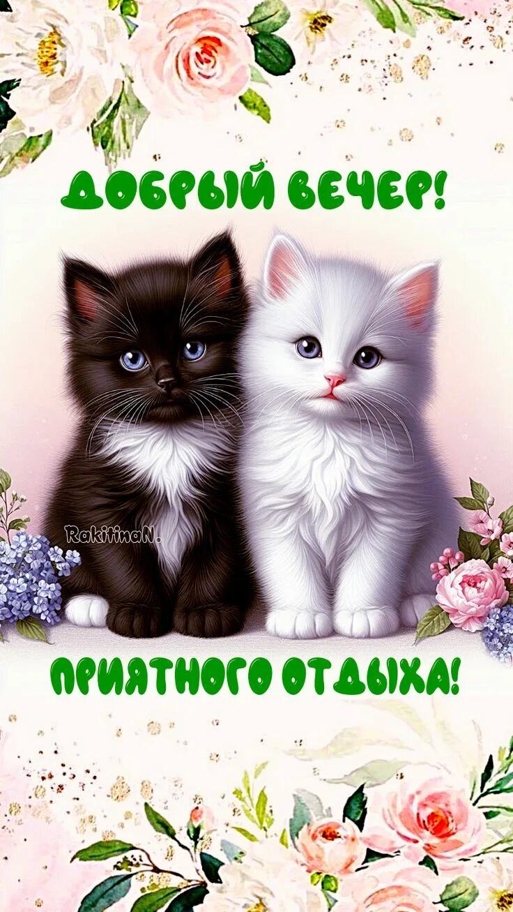 Открытка «Кот»: Добрый вечер с милыми котятами и пожеланием отдыха. Тэги: пожелание, улыбка, красивая, позитив…